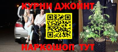 сатива Камышлов
