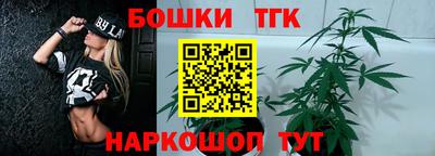 сатива Камышлов