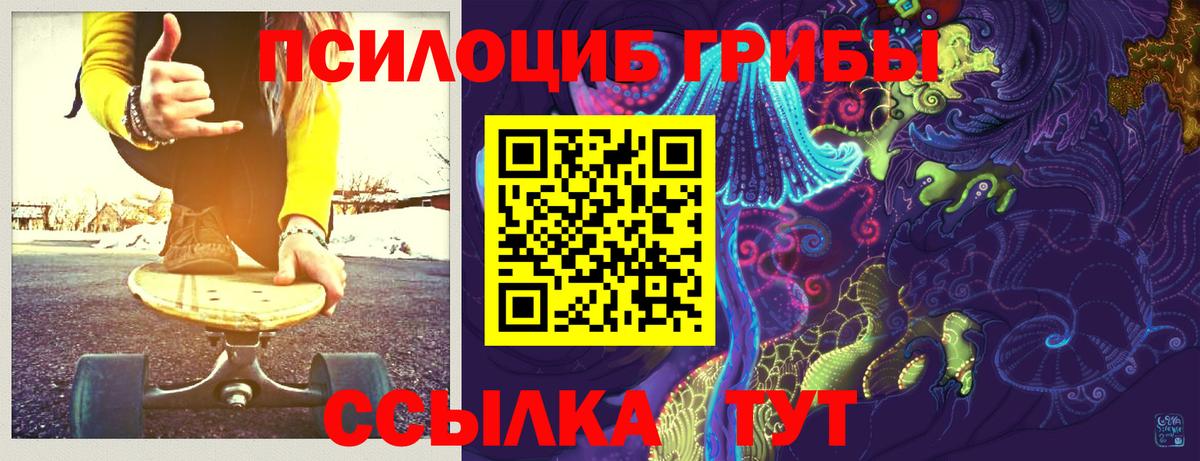 Псилоцибиновые грибы Cubensis  закладки  Ревда  Вход с VPN 